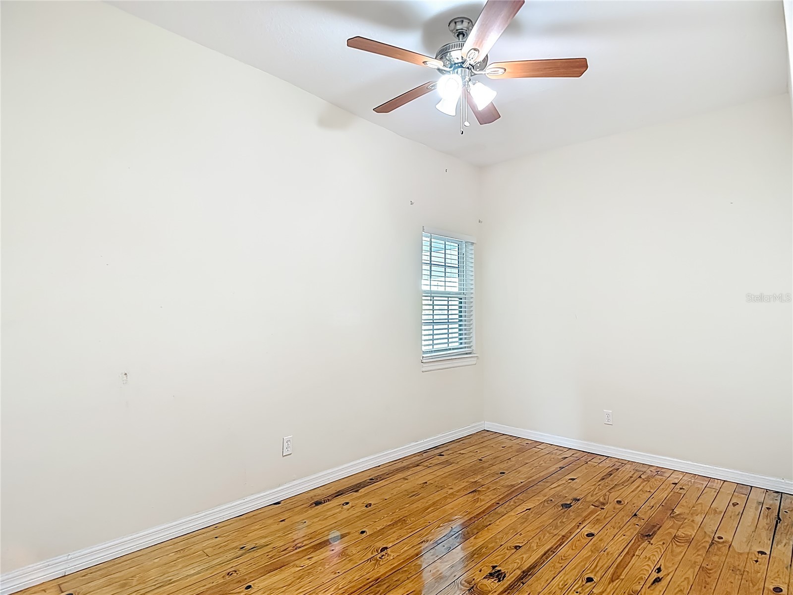 3002 W Arch Street Tampa FL 33607 TB8529686 image30
