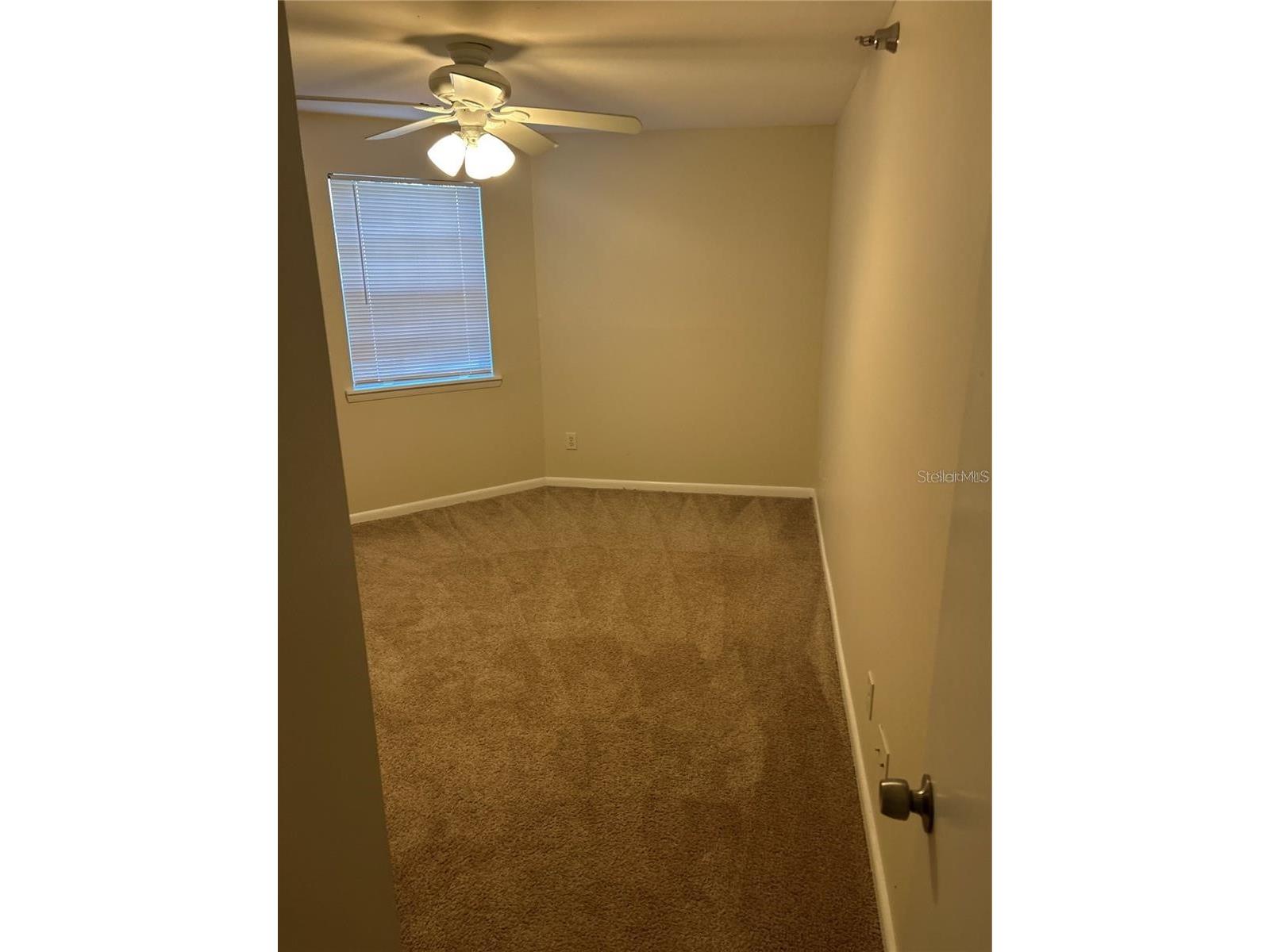 3002 W Cleveland Street #B7 Tampa FL 33609 TB8459790 image21