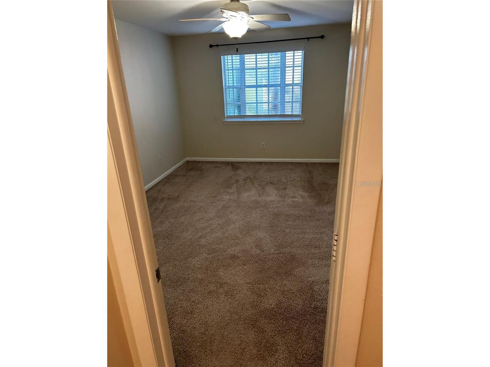 3002 W Cleveland Street #B7 Tampa FL 33609 TB8459790 image22