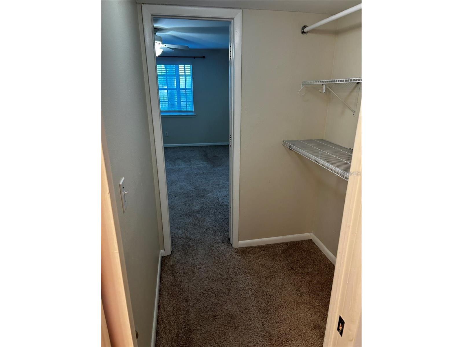 3002 W Cleveland Street #B7 Tampa FL 33609 TB8459790 image29