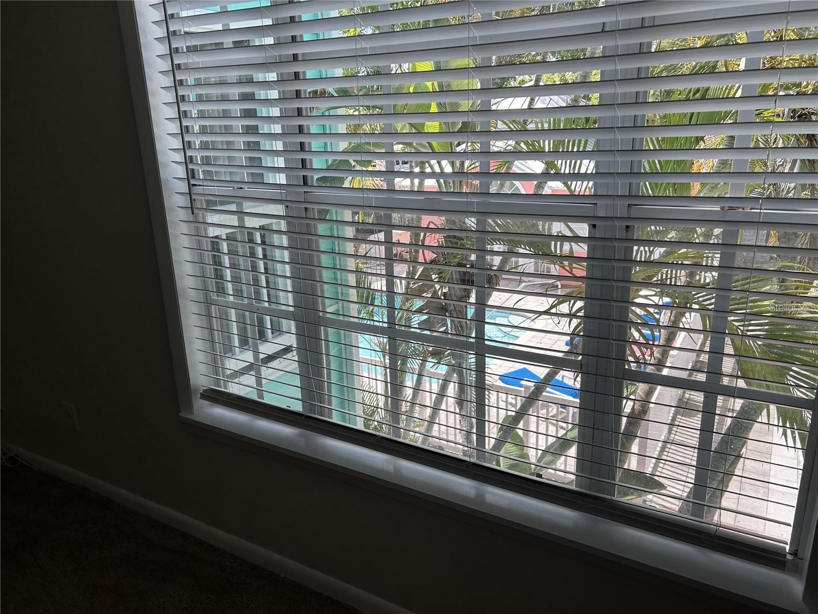 3002 W Cleveland Street #B7 Tampa FL 33609 TB8459790 image41