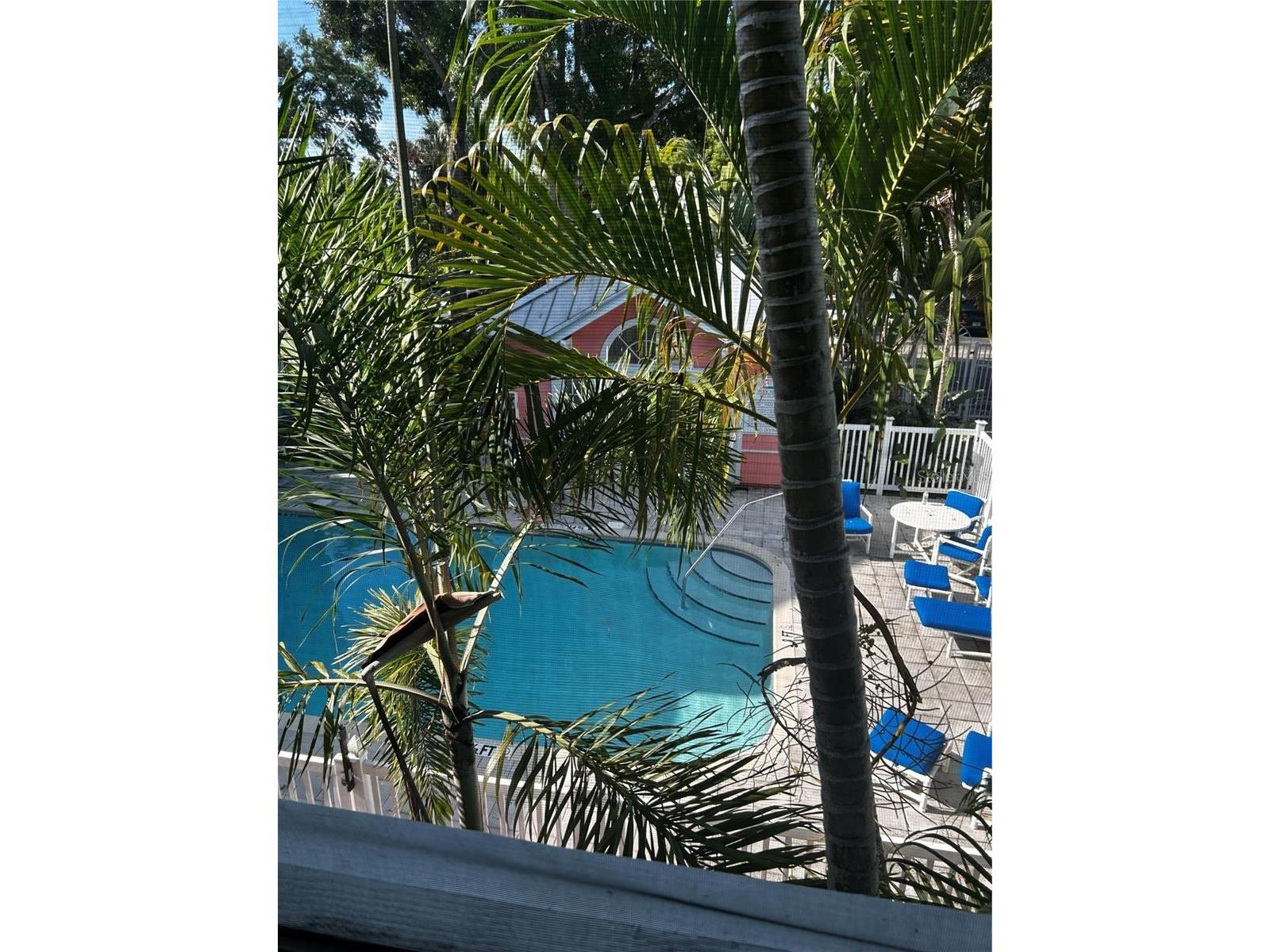 3002 W Cleveland Street #B7 Tampa FL 33609 TB8459790 image42