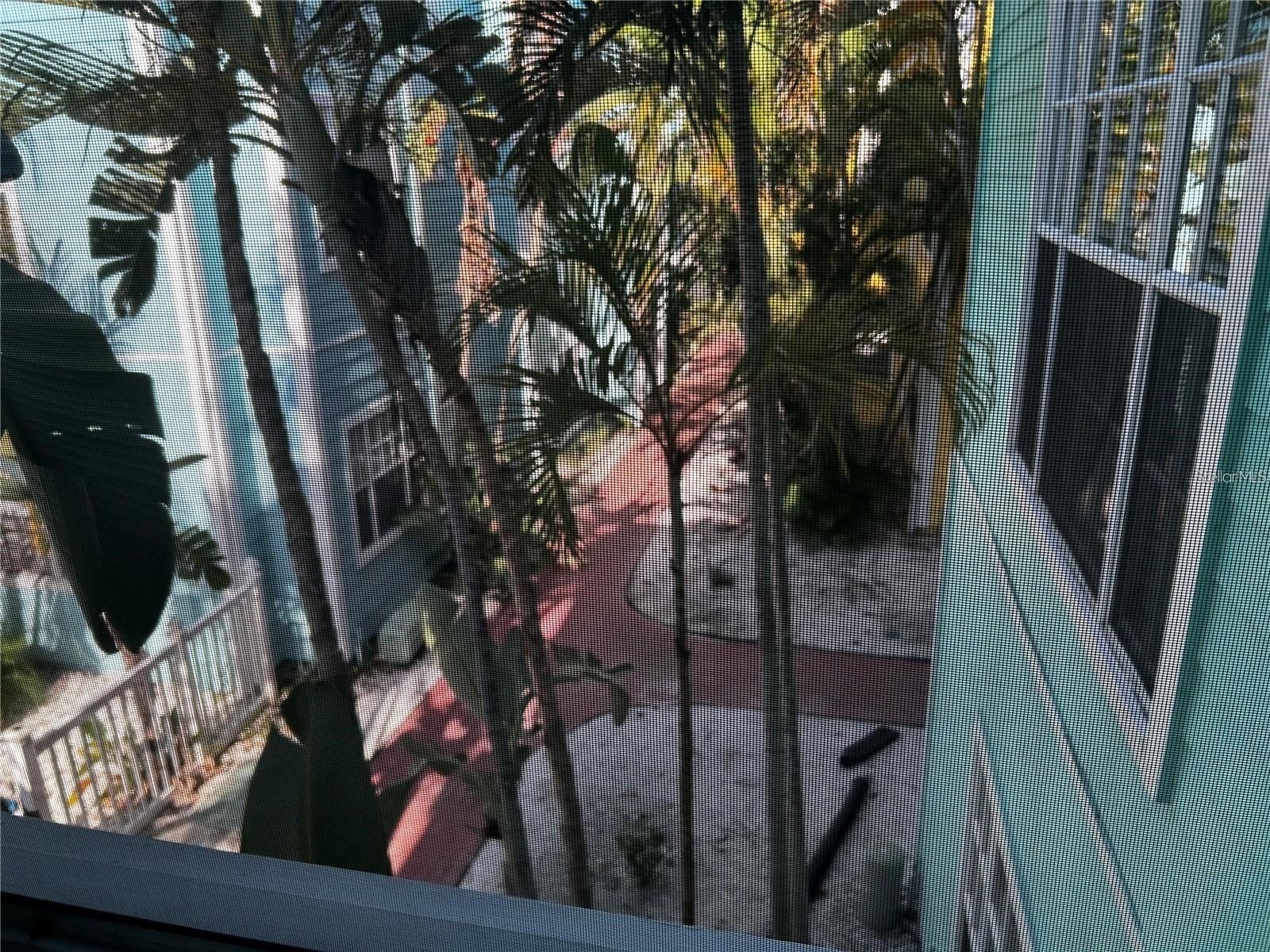 3002 W Cleveland Street #B7 Tampa FL 33609 TB8459790 image45