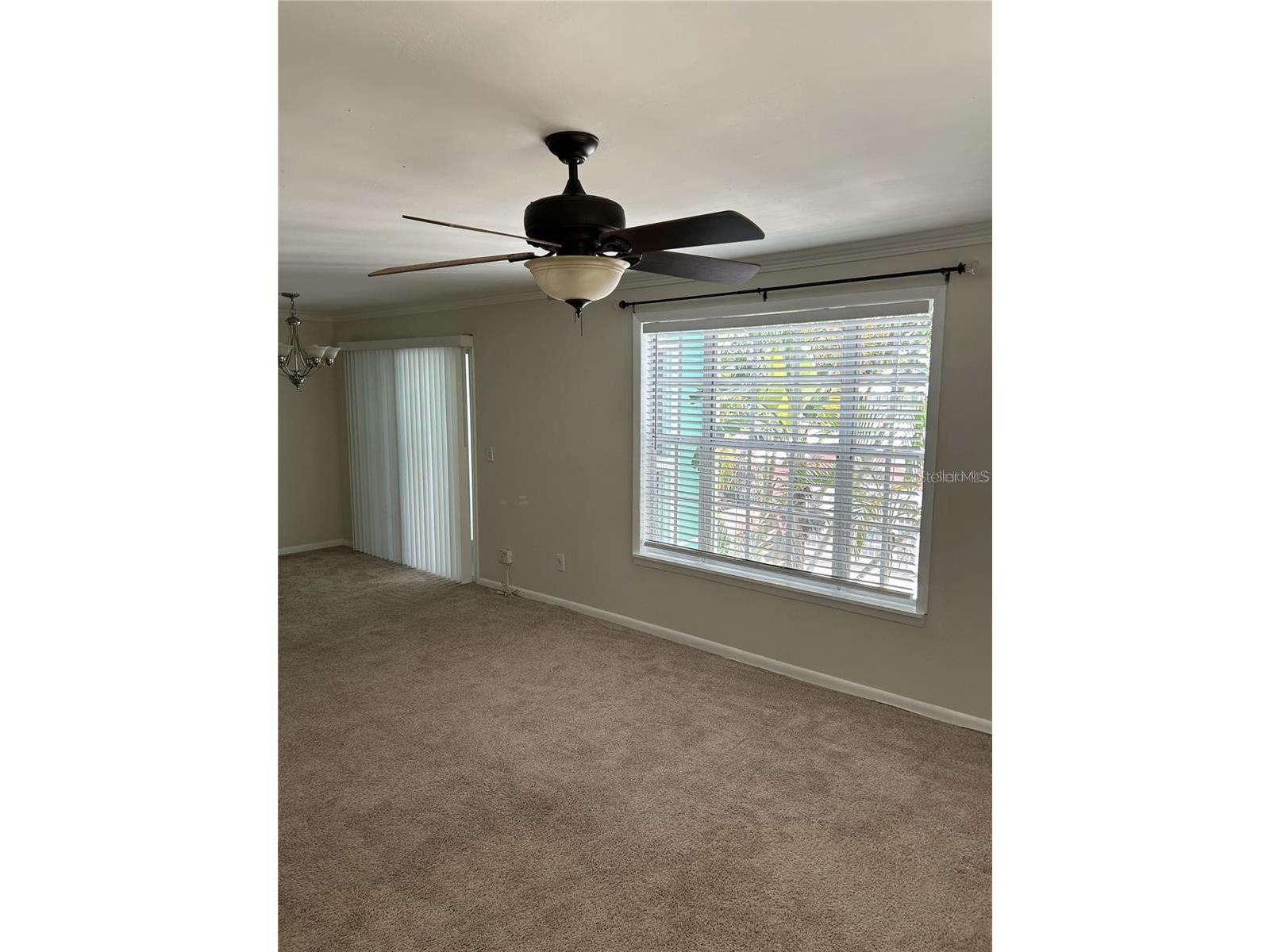 3002 W Cleveland Street #B7 Tampa FL 33609 TB8459790 image9