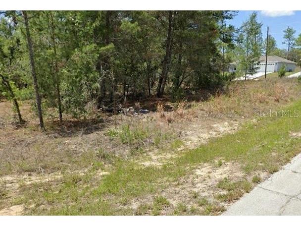 3002 W Liza Place Citrus Springs FL 34433 O6214683 image1