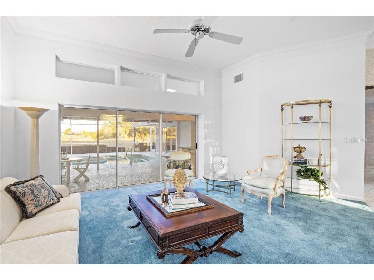 3002 Wilderness Boulevard W Parrish FL 34219 - MANATEE RIVER A4681018 image10