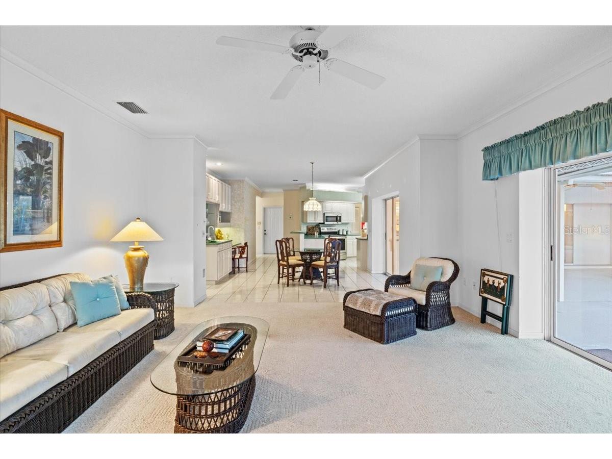 3002 Wilderness Boulevard W Parrish FL 34219 - MANATEE RIVER A4681018 image29