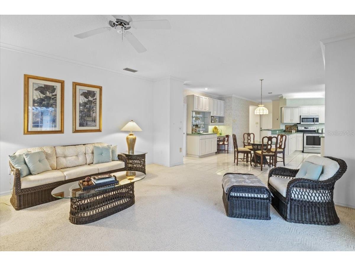 3002 Wilderness Boulevard W Parrish FL 34219 - MANATEE RIVER A4681018 image30