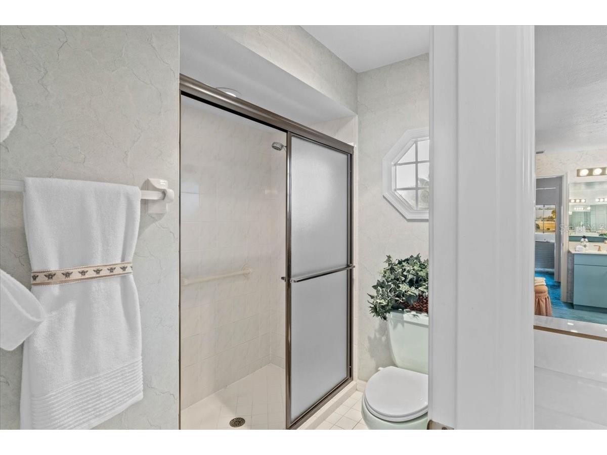 3002 Wilderness Boulevard W Parrish FL 34219 - MANATEE RIVER A4681018 image40