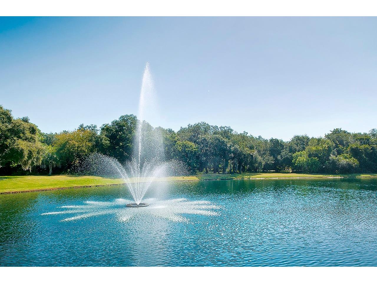 3002 Wilderness Boulevard W Parrish FL 34219 - MANATEE RIVER A4681018 image86