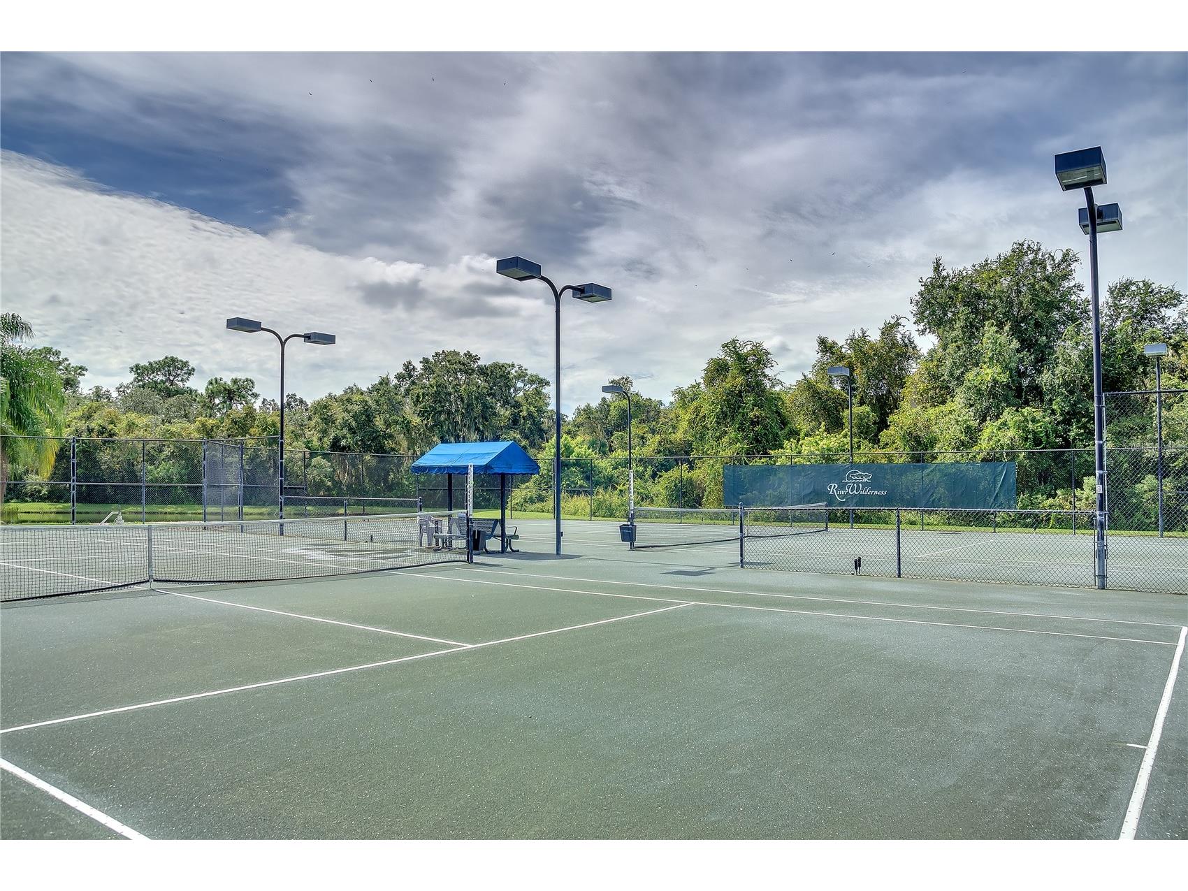 3002 Wilderness Boulevard W Parrish FL 34219 - MANATEE RIVER A4681018 image90