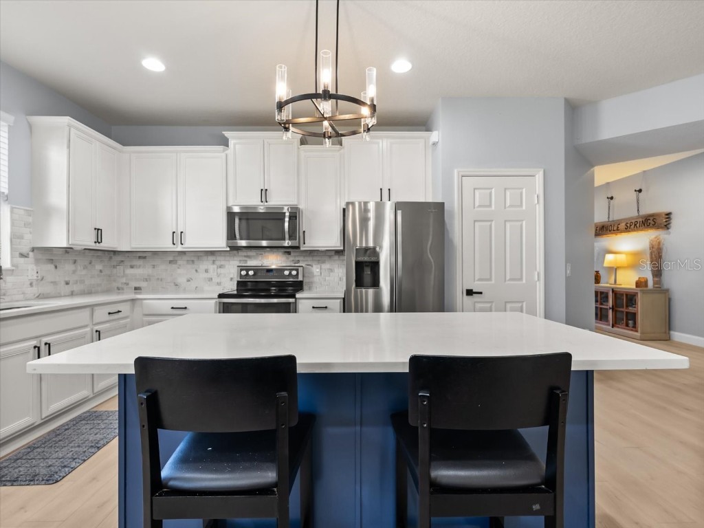 30021 Donnington Loop Mount Dora FL 32757 O6358167 image10