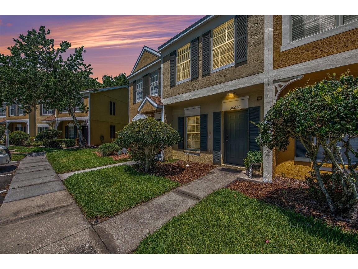 30021 Granda Hills Court Wesley Chapel FL 33543 T3521272 image1