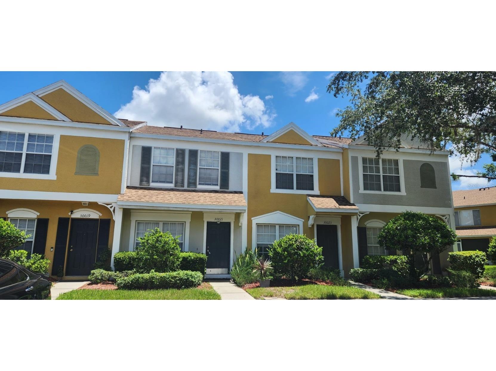 30021 Playa Del Rey Lane Wesley Chapel FL 33543 T3540342 image1