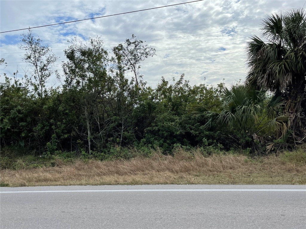 3003 1st Street W Lehigh Acres FL 33971 A4558805 image1