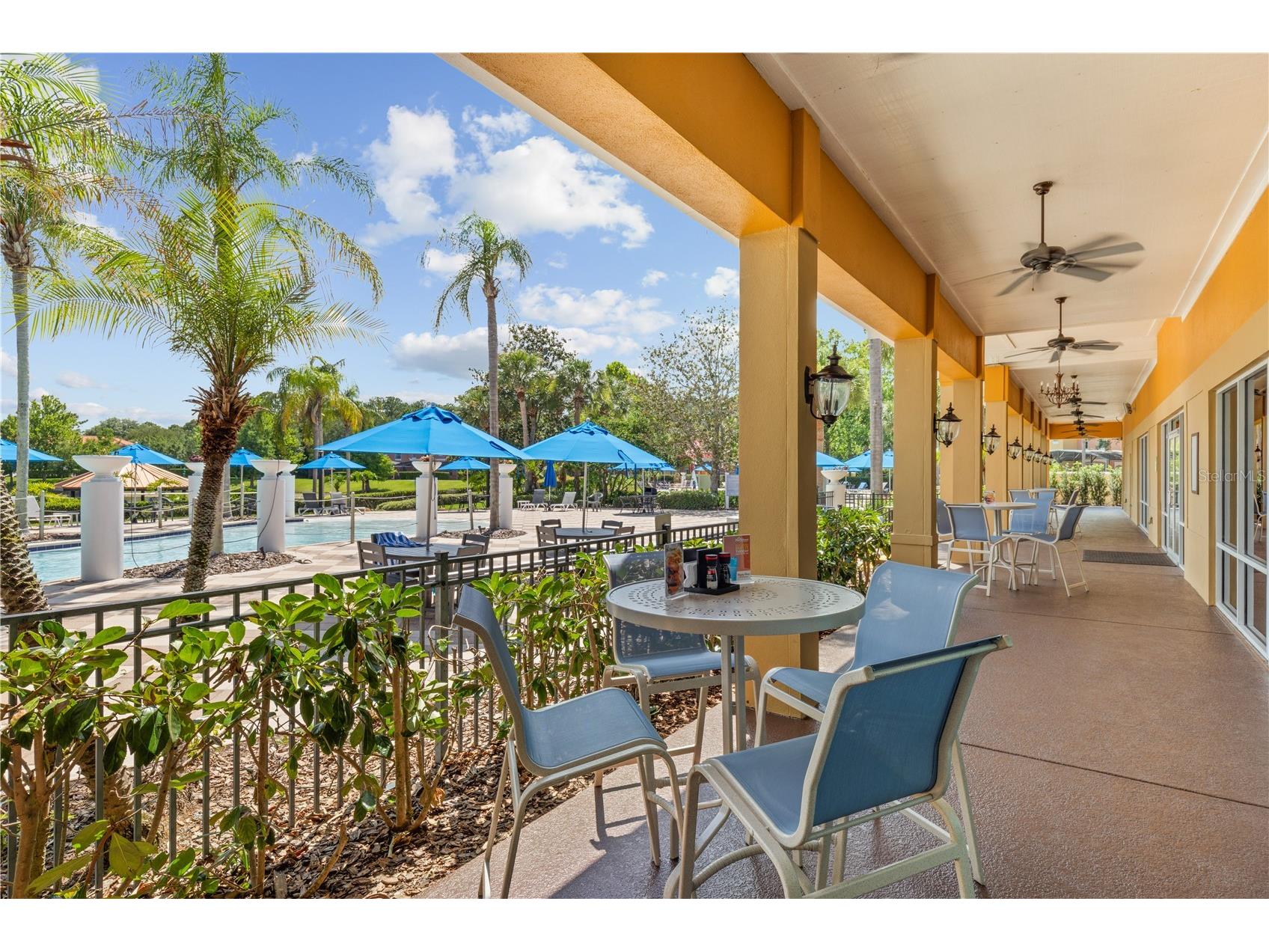 3003 Bird Of Paradise Lane Kissimmee FL 34747 O6416279 image50