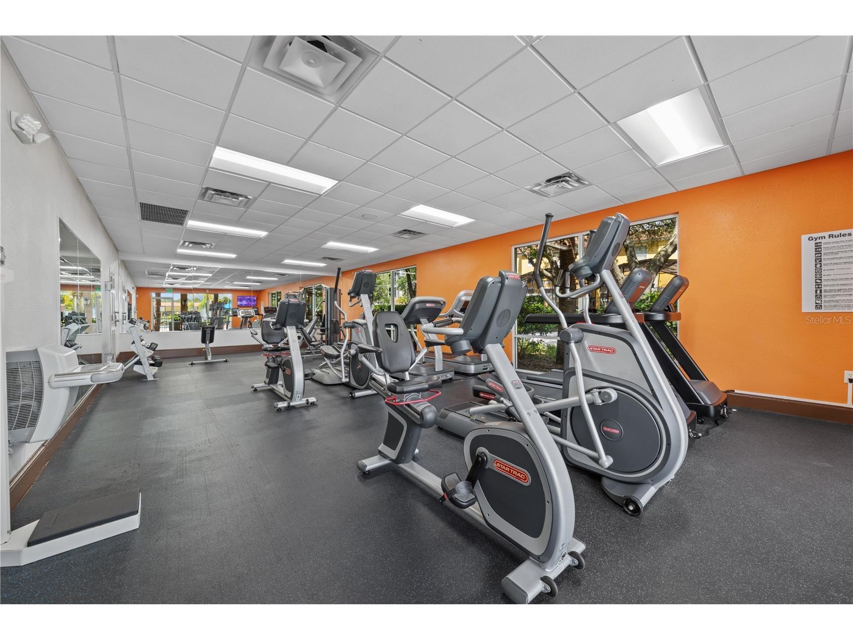 3003 Bird Of Paradise Lane Kissimmee FL 34747 O6416279 image51