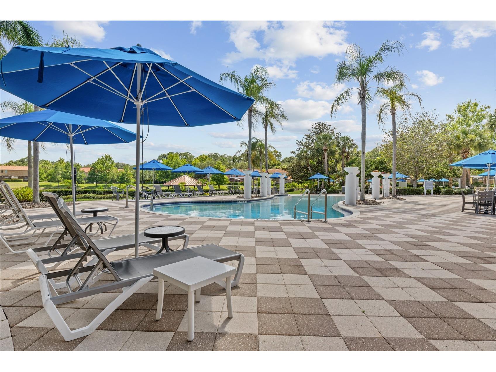 3003 Bird Of Paradise Lane Kissimmee FL 34747 O6416279 image53