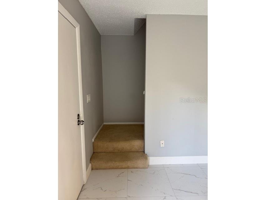 3003 Bough Avenue #C Clearwater FL 33760 W7879804 image11