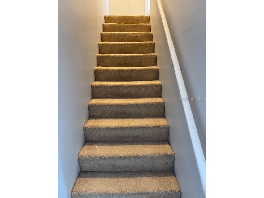 3003 Bough Avenue #C Clearwater FL 33760 W7879804 image20