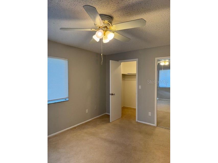 3003 Bough Avenue #C Clearwater FL 33760 W7879804 image22