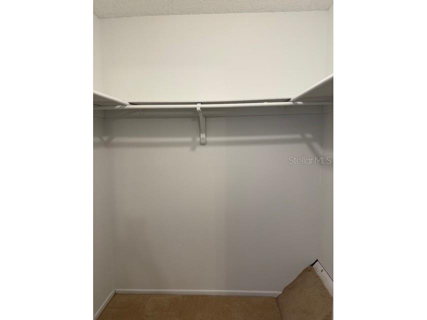 3003 Bough Avenue #C Clearwater FL 33760 W7879804 image23