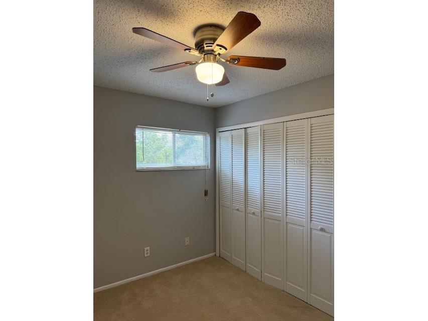 3003 Bough Avenue #C Clearwater FL 33760 W7879804 image24