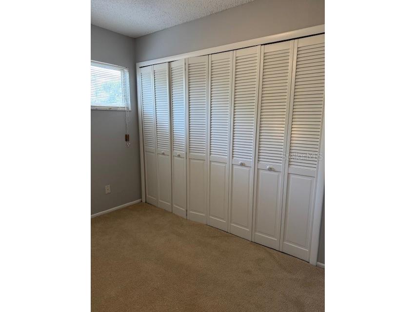 3003 Bough Avenue #C Clearwater FL 33760 W7879804 image26