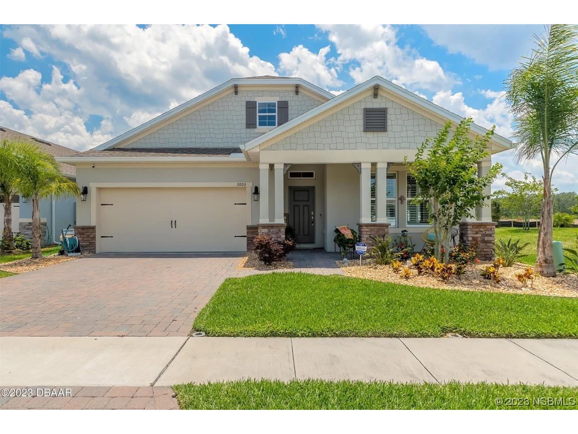 3003 Borassus Drive New Smyrna Beach FL 32168 NS1074683 image1