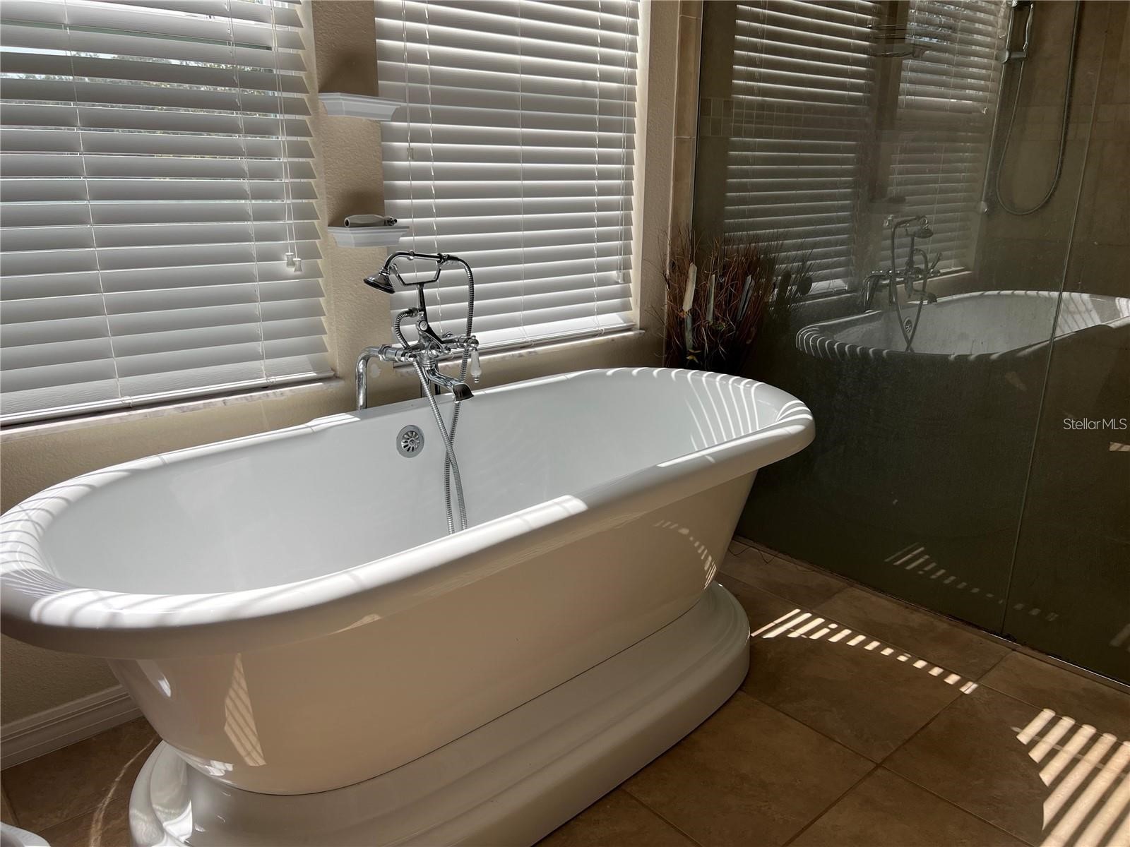 3003 Cobham Road Kissimmee FL 34758 S5142750 image28