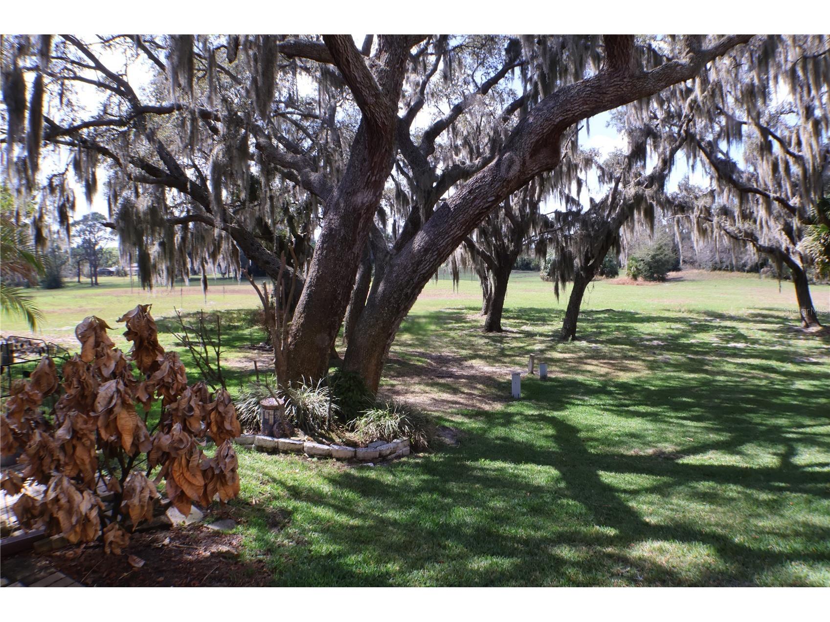 3003 Finsterwald Drive #3 Titusville FL 32780 A4683971 image39