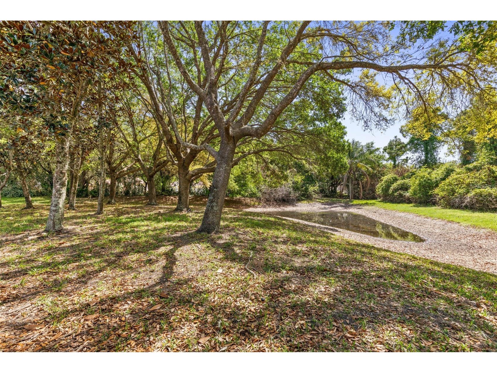 3003 Glin Circle Ormond Beach FL 32174 FC317337 image43