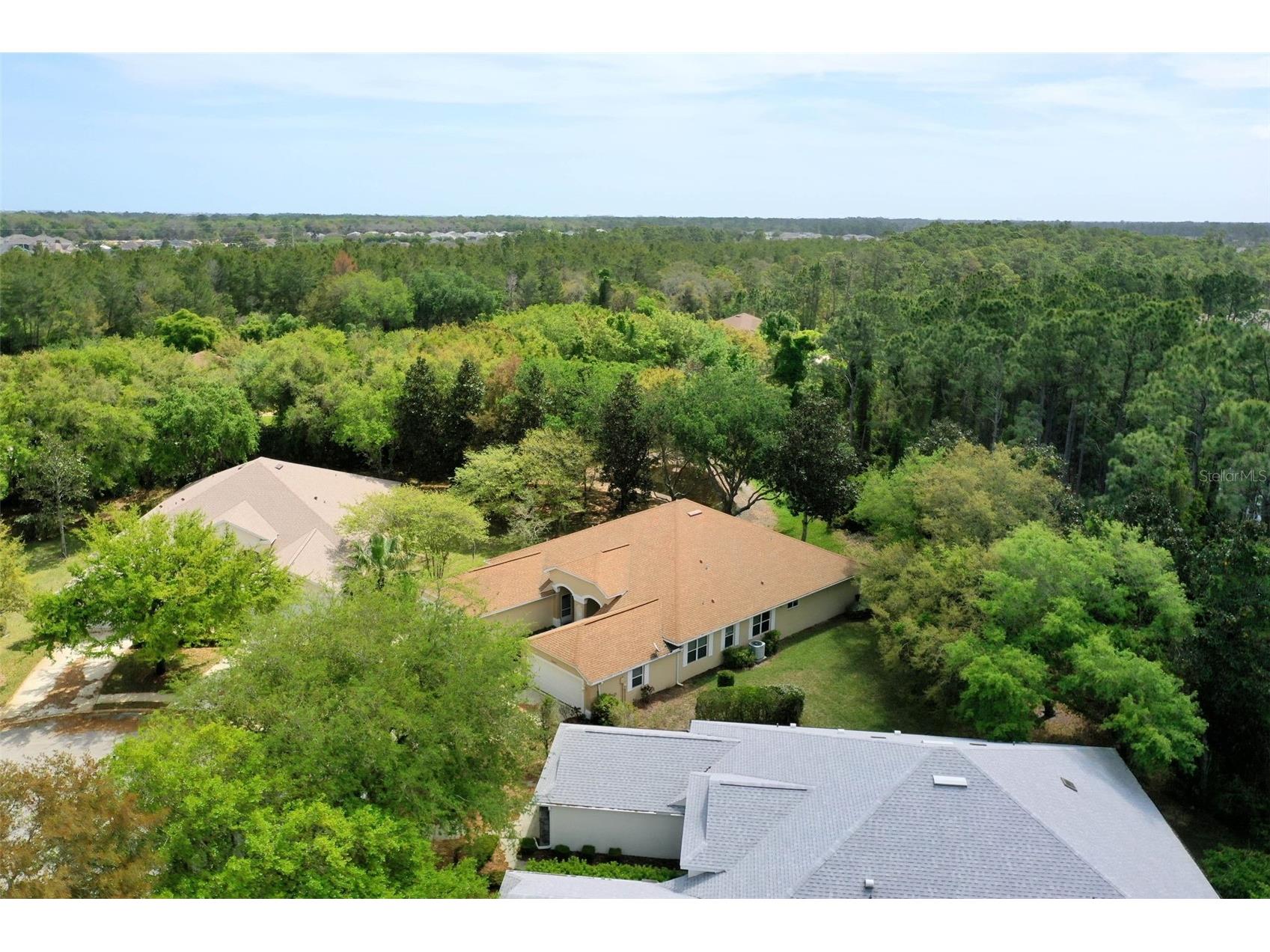 3003 Glin Circle Ormond Beach FL 32174 FC317337 image47