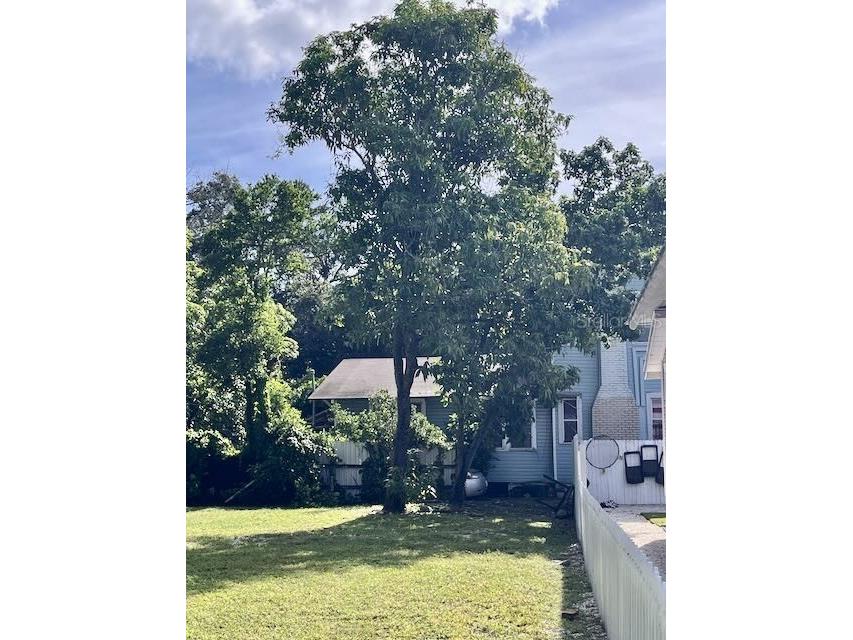 3003 N Morgan Street Tampa FL 33603 L4955668 image4