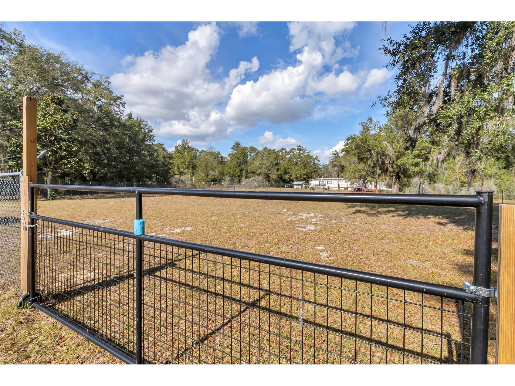 3003 NE 165th Place Citra FL 32113 OM716437 image20