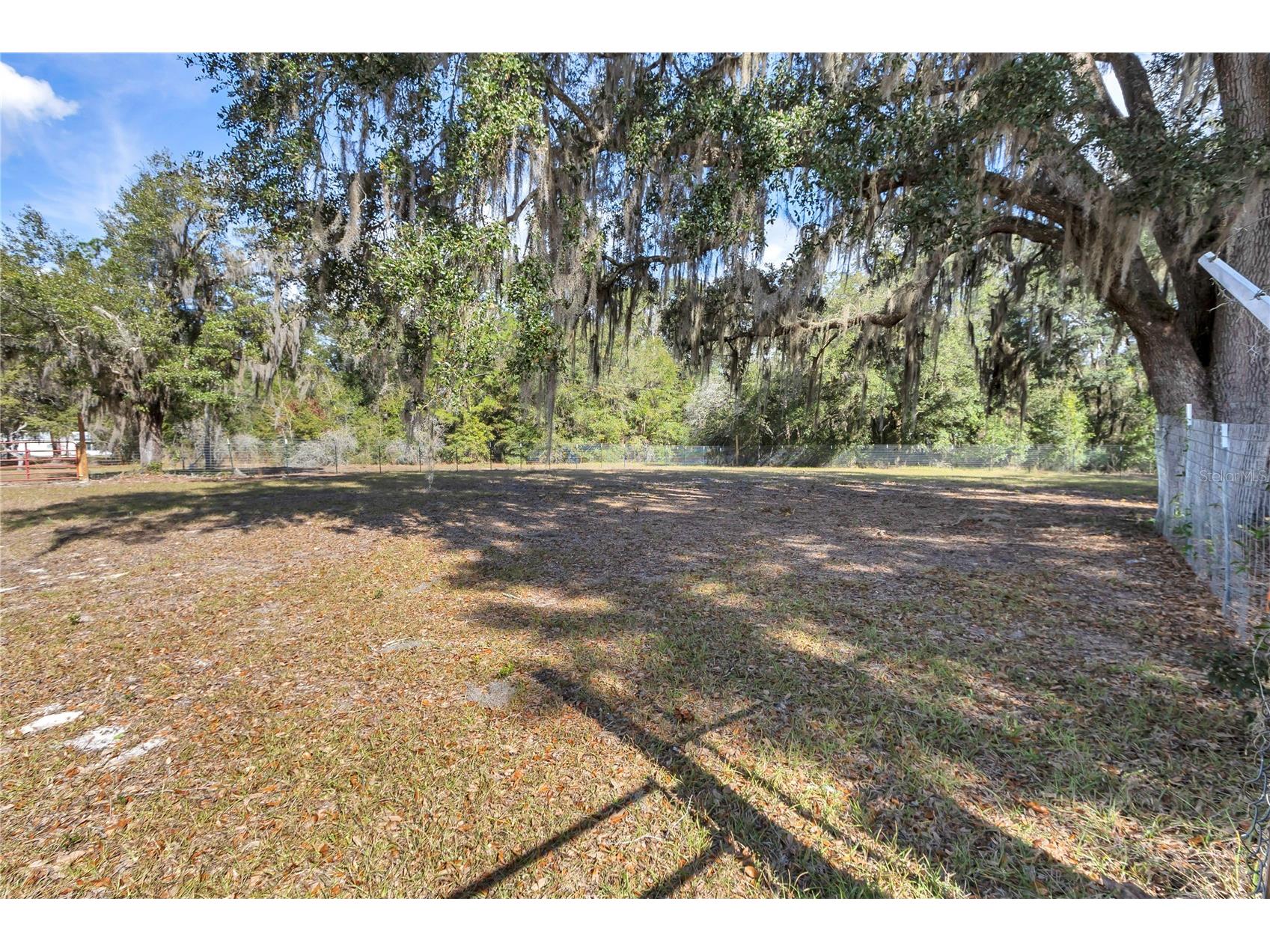3003 NE 165th Place Citra FL 32113 OM716437 image21