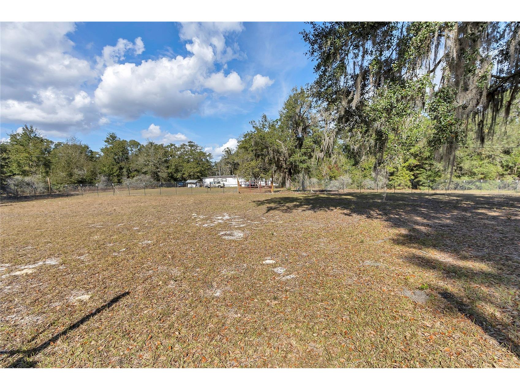 3003 NE 165th Place Citra FL 32113 OM716437 image22