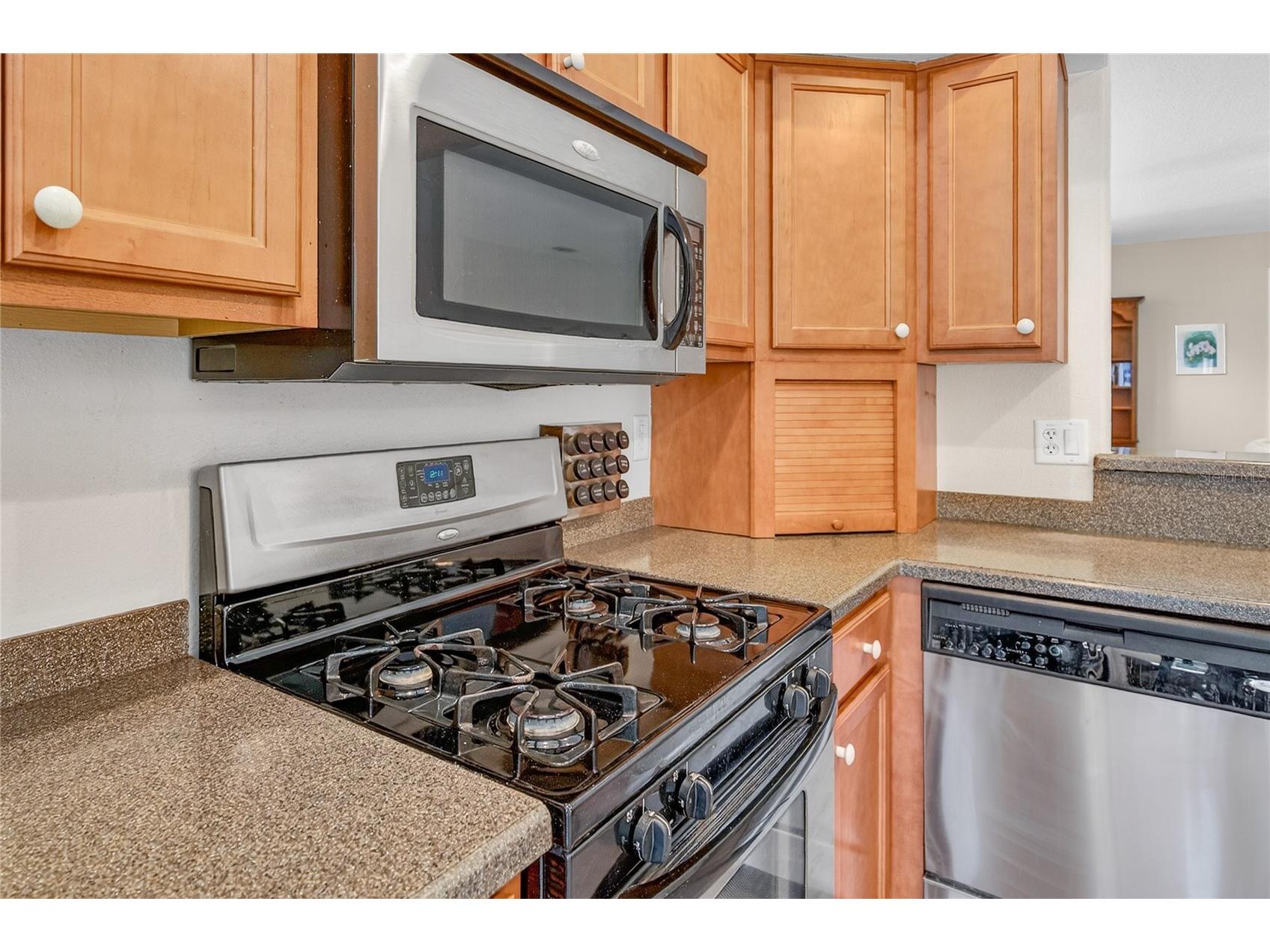 3003 New Haven Place Mount Dora FL 32757 O6372744 image13