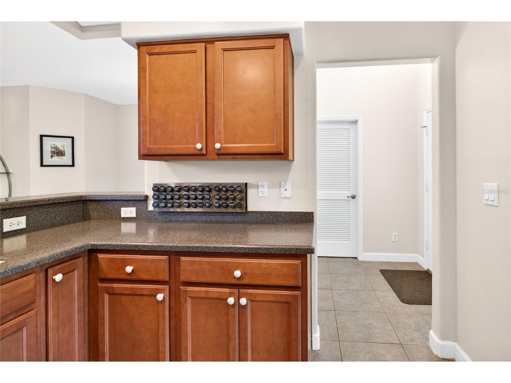 3003 New Haven Place Mount Dora FL 32757 O6372744 image15
