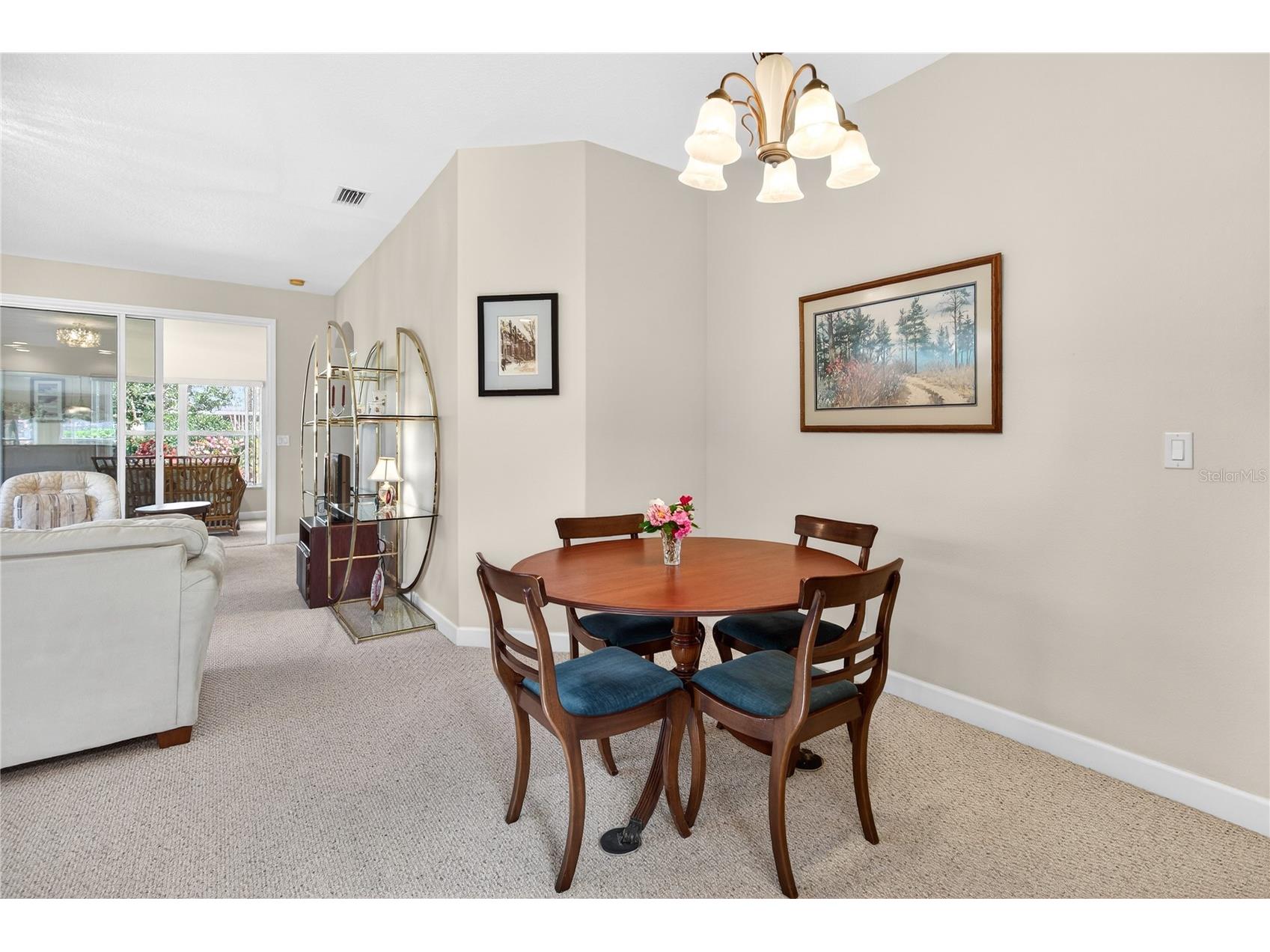 3003 New Haven Place Mount Dora FL 32757 O6372744 image16