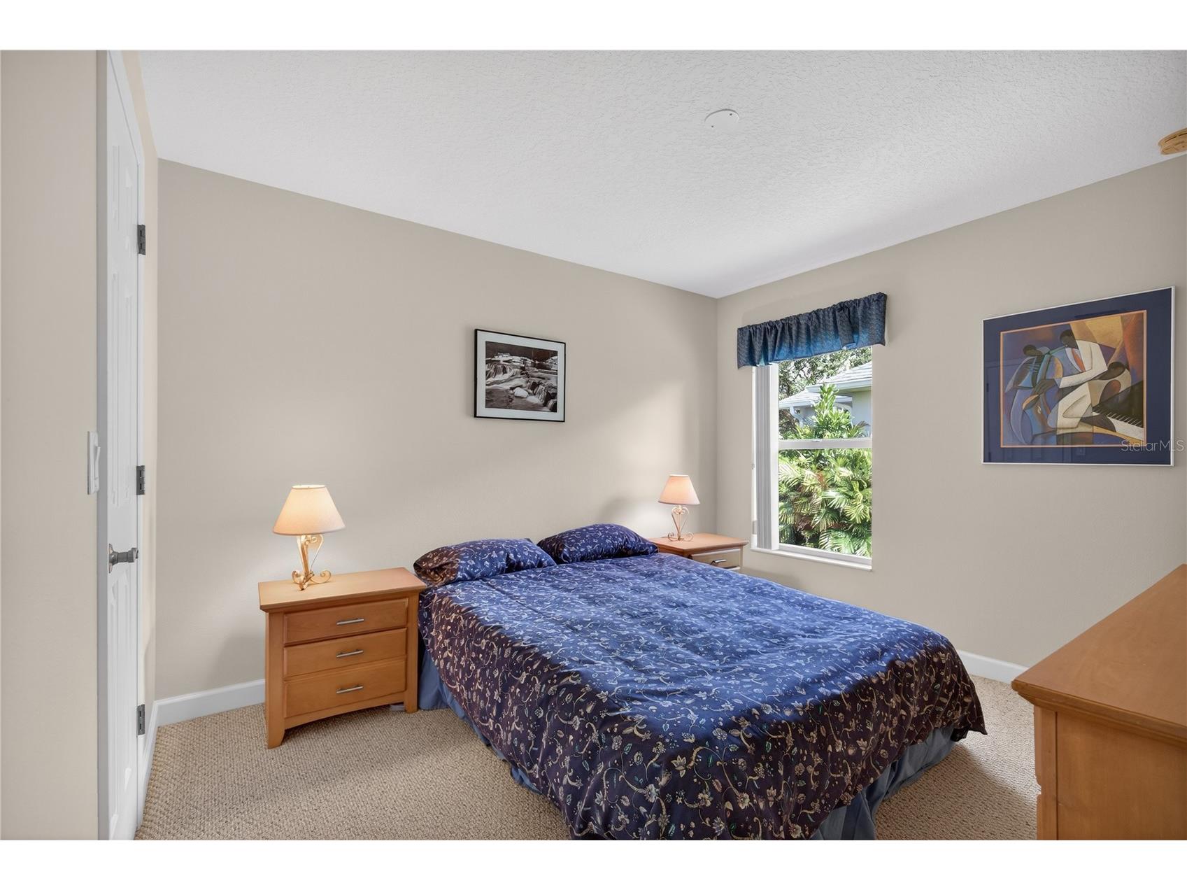 3003 New Haven Place Mount Dora FL 32757 O6372744 image26