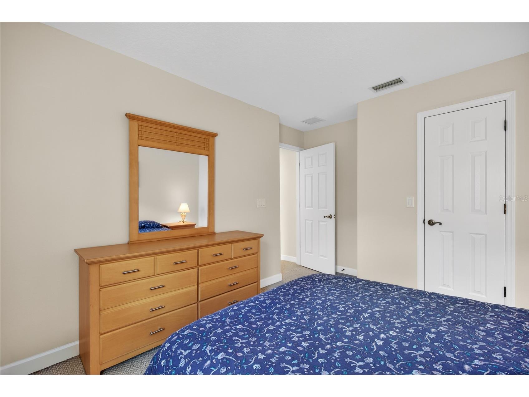 3003 New Haven Place Mount Dora FL 32757 O6372744 image27