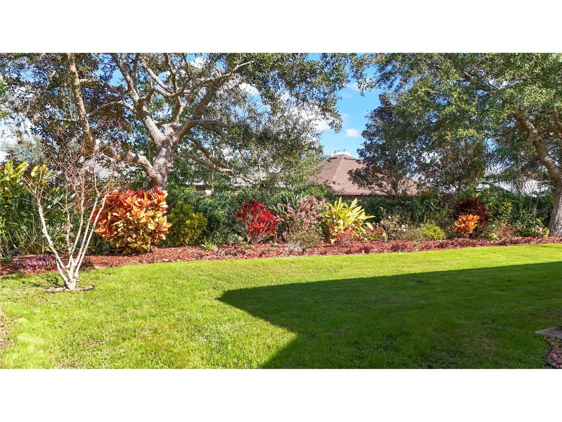 3003 New Haven Place Mount Dora FL 32757 O6372744 image50