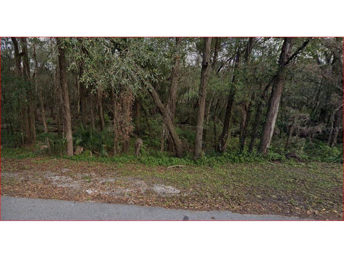 3003 Riverdale Road Orlando FL 32817 - LITTLE ECONLOCKHATCHEE RIVER O6255249 image1