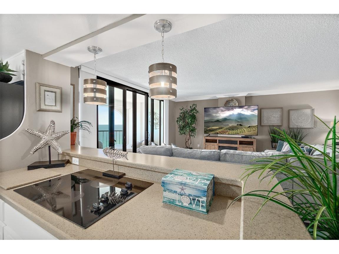 3003 S Atlantic Avenue #19B4 Daytona Beach FL 32118 V4946226 image21