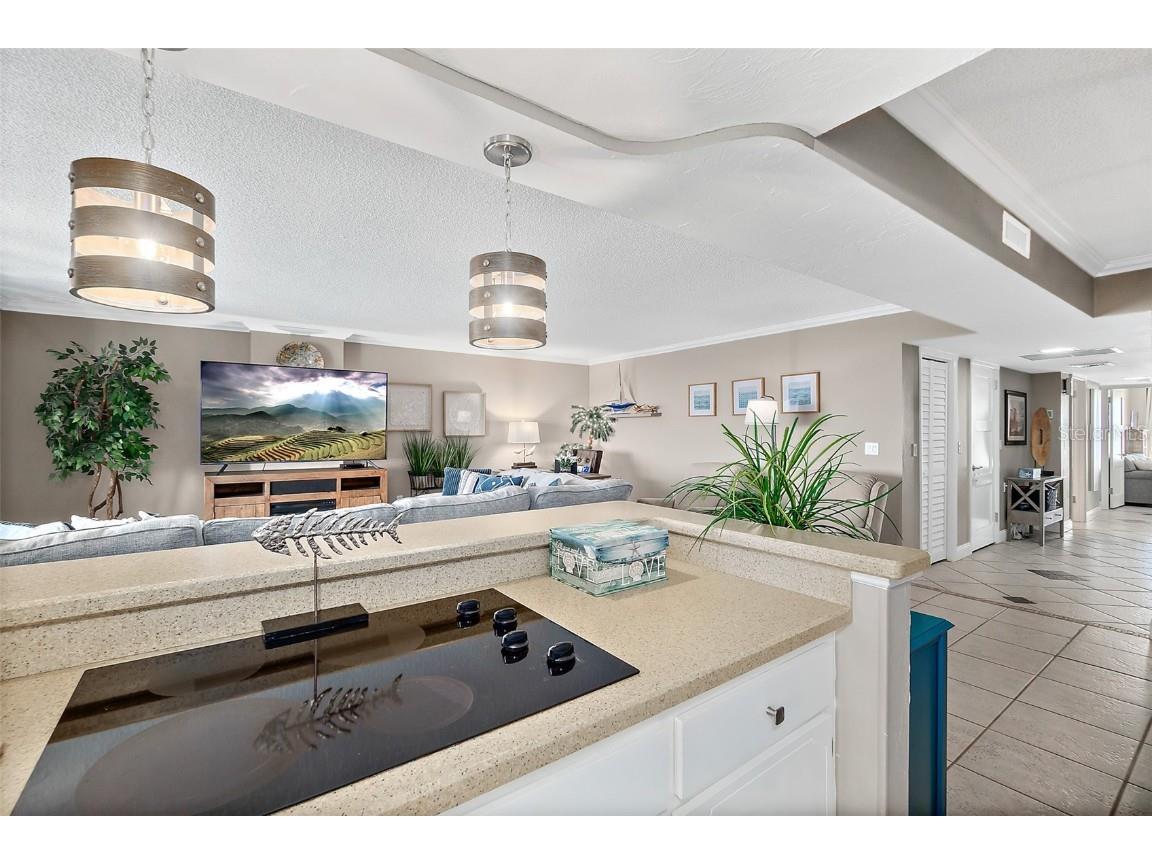 3003 S Atlantic Avenue #19B4 Daytona Beach FL 32118 V4946226 image27