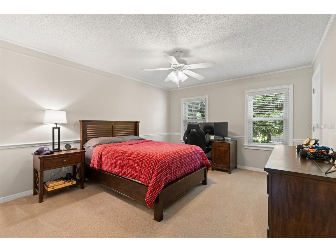 3003 W Villa Rosa Park Tampa FL 33611 TB8424754 image37