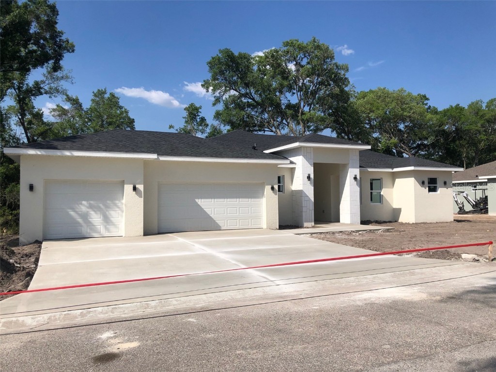 30031 Vienna Woods Lane Wesley Chapel FL 33545 T3352671 image1