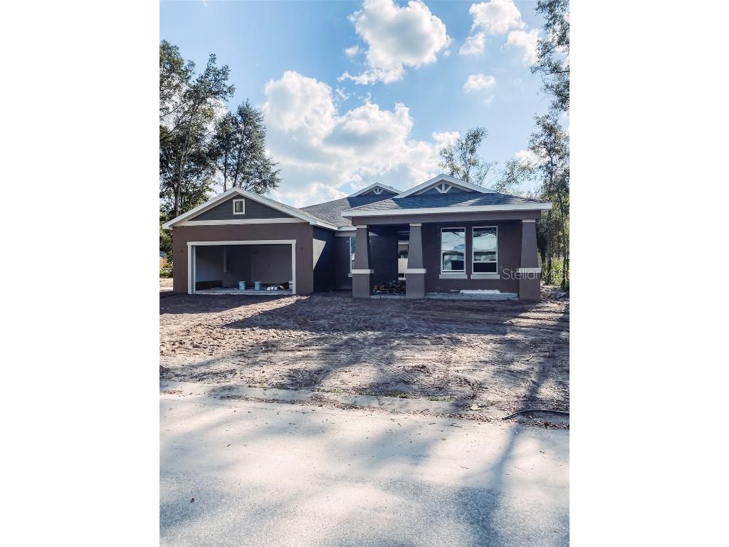 30034 Vienna Woods Wesley Chapel FL 33545 T3345477 image1