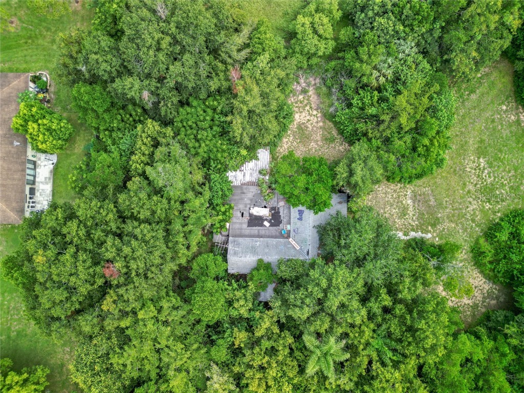 30035 State Road 19 Tavares FL 32778 O6233240 image14